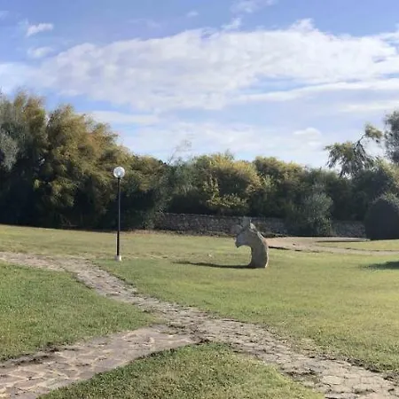 Sardegna Eucalyptus * Golfo Aranci