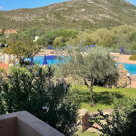 Sardegna Eucalyptus Golfo Aranci