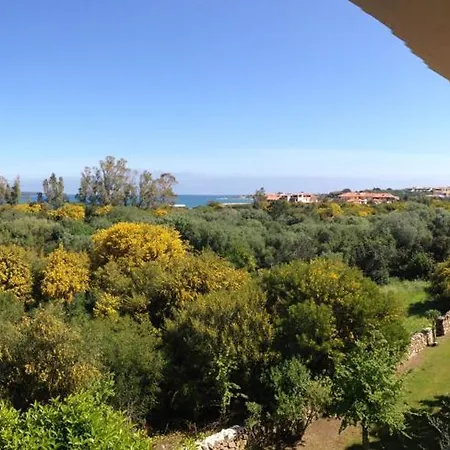 Sardegna Eucalyptus * Golfo Aranci