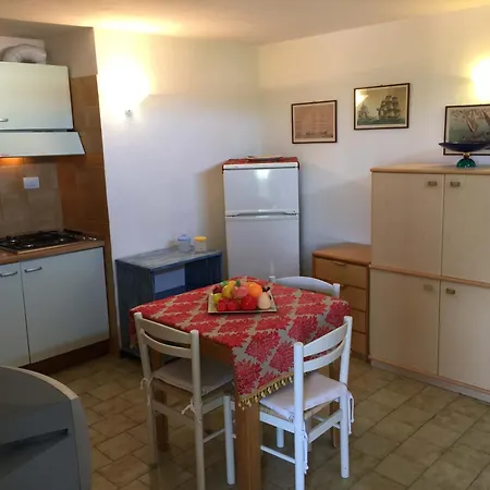 Sardegna Eucalyptus Golfo Aranci