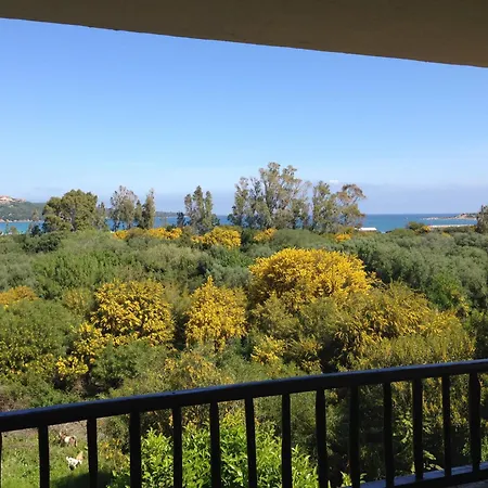 Feriehus Sardegna Eucalyptus *